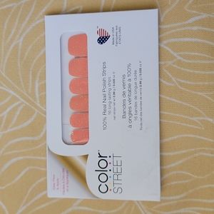 Color Street Day By Day